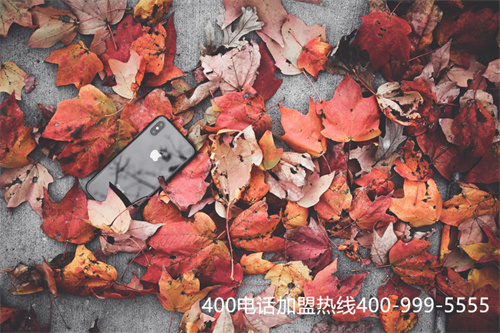 (中國電信400業務辦理)(400電話多少錢？電信400一類號碼)