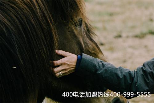 (公司如何辦理400電話)(400電話申請企業促進本地業務的18種營銷策略)