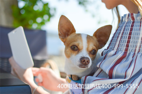 (400電話申請找誰)(400電話申請是什么)